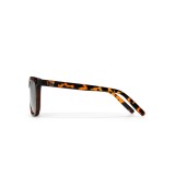 CHPO BRUCE 16132HD-TURTLE BROWN / GOLD Brown Image 1