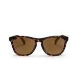 CHPO BODHI SUNGLASSES 16131SD-TURTLE BROWN Brown Image 
