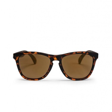 CHPO BODHI SUNGLASSES 16131SD-TURTLE BROWN Brown