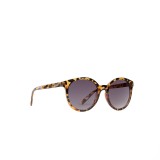 VANS RISE AND SHINE SUNGLASSES VN000HEE161-161 Brown Image 0