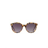 VANS RISE AND SHINE SUNGLASSES VN000HEE161-161 Brown Image 