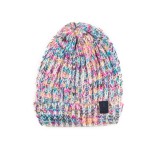 CHAMPION 804000-SNO Colorful Image 