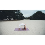 TUNTURI PVC YOGAMAT 4MM PURPLE 14TUSYO036 Ο-C Εικόνα 24