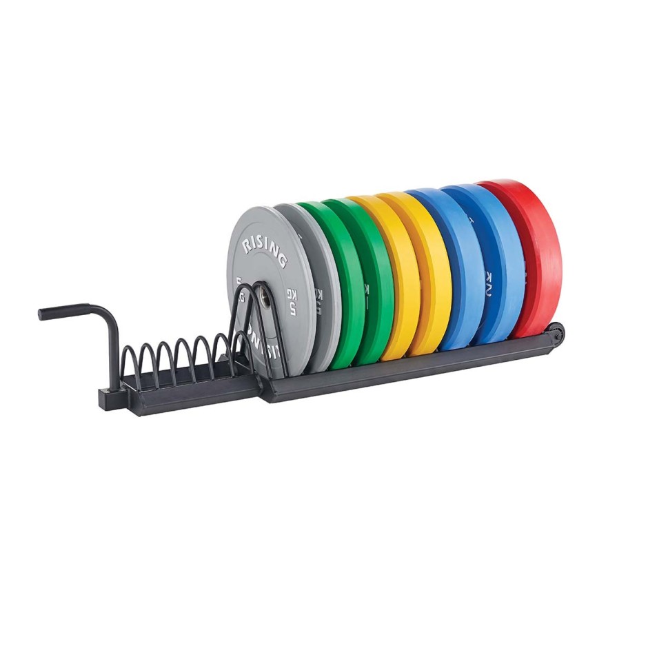 AMILA 43935 One Color