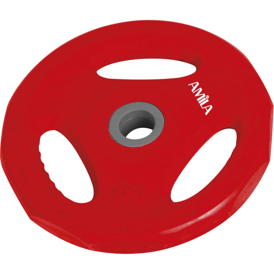 AMILA ΔΙΣΚΟΣ ΜΕ ΛΑΣΤΙΧΟ 5kg - φ28mm ΓΙΑ PUMP SET 44416 Ο-C