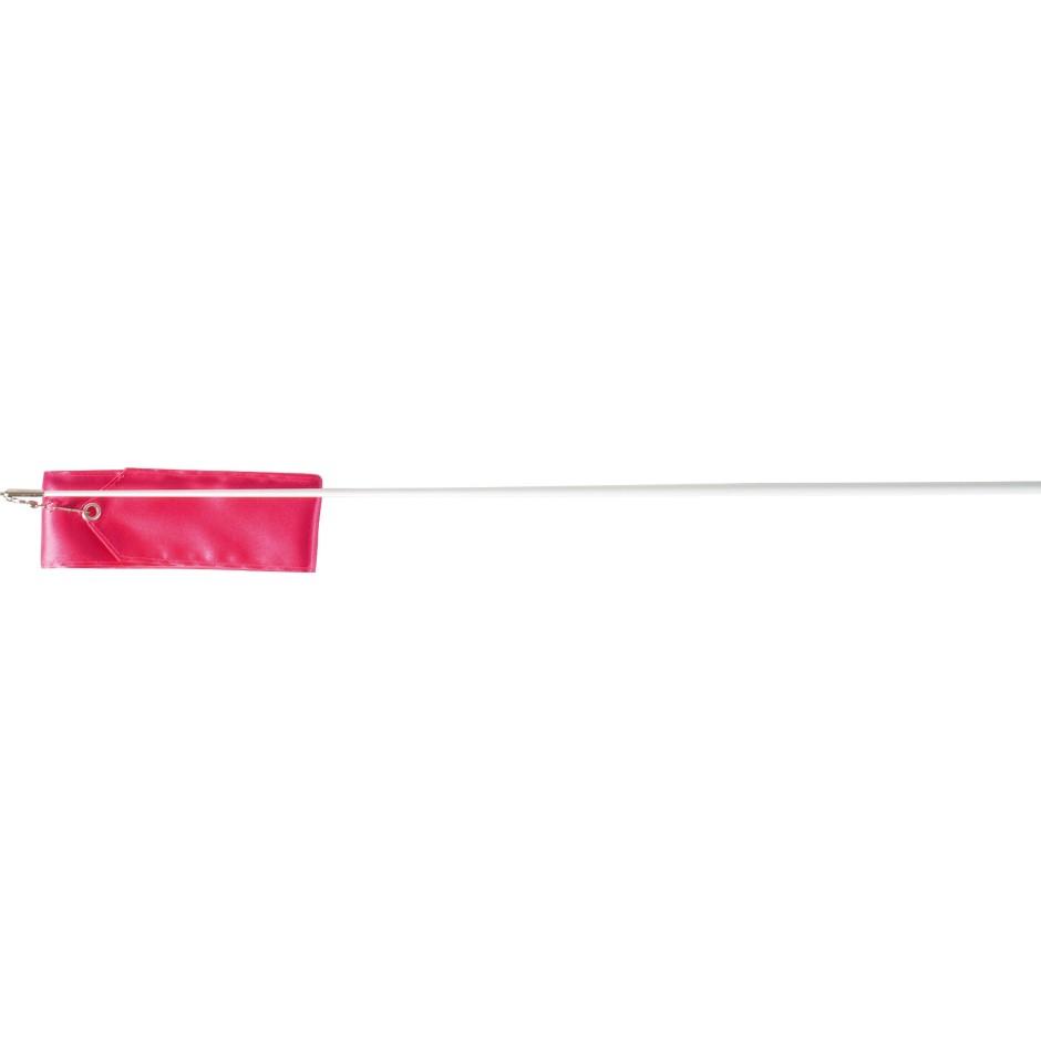AMILA ΚΟΡΔΕΛΑ ΡΥΘ.ΓΥΜΝ. 5M ΙΣΤΟΣ 56CM ΦΟΥΞΙΑ (AB2205) 47994-ΦΟΥΞΙΑ Φούξια