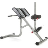 Πάγκος Ραχιαίων - Amila Bodycraft F-670 Εικόνα 