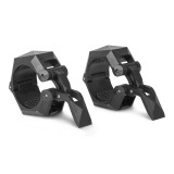 AMILA 44391 One Color Image 