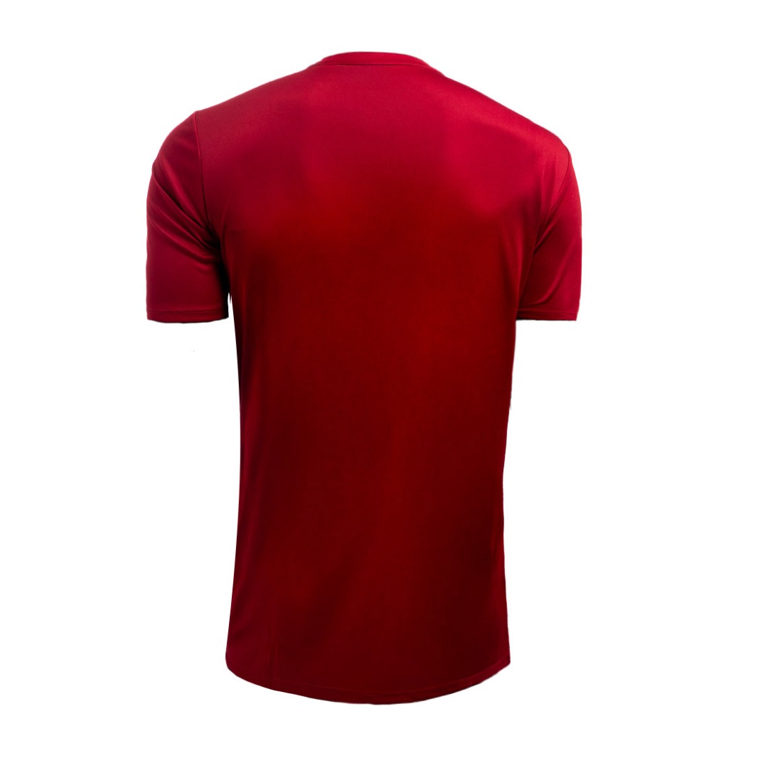 ACERBIS AEL FC MIDA S/S KIDS JERSEY 0910464-111 Μπορντό φωτογραφία