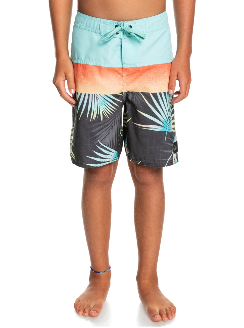 QUIKSILVER EVERYDAY PANEL YTH 17 EQBBS03617-KTA6 Πολύχρωμο